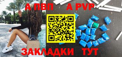стафф Донской