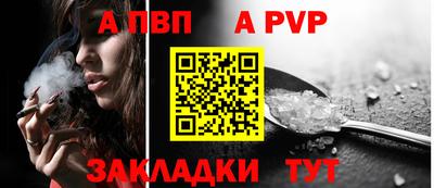 стафф Донской