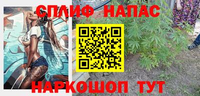 стафф Донской
