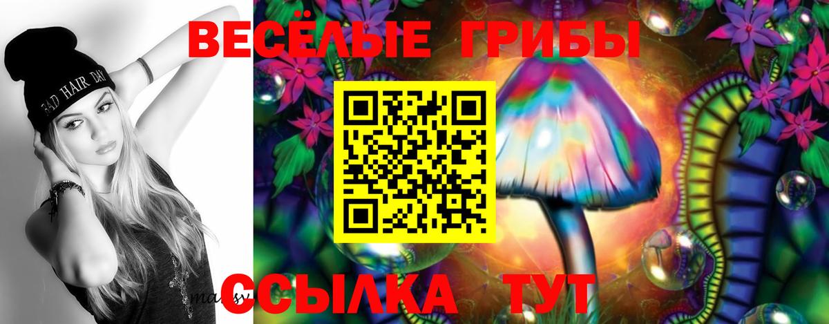 Псилоцибиновые грибы Psilocybe  Вход с VPN  Королёв  Псилоцибиновые грибы Magic Shrooms 