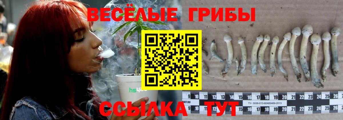 Псилоцибиновые грибы MAGIC MUSHROOMS Королёв