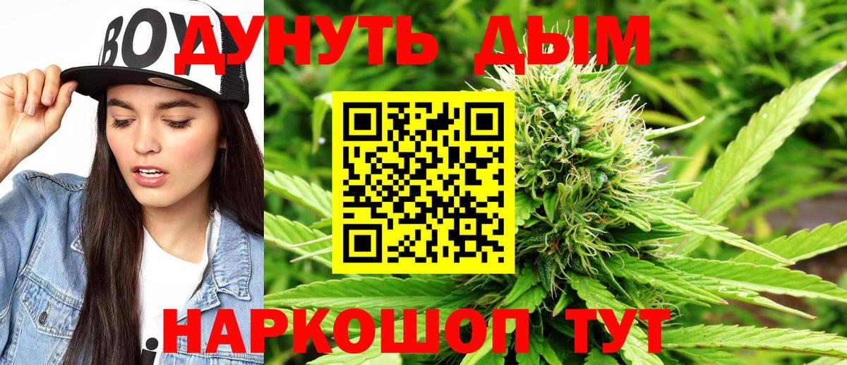 Бошки марихуана планчик  Канабис тримм  Вход с VPN  Королёв  Марихуана планчик  МАРИХУАНА AK-47 